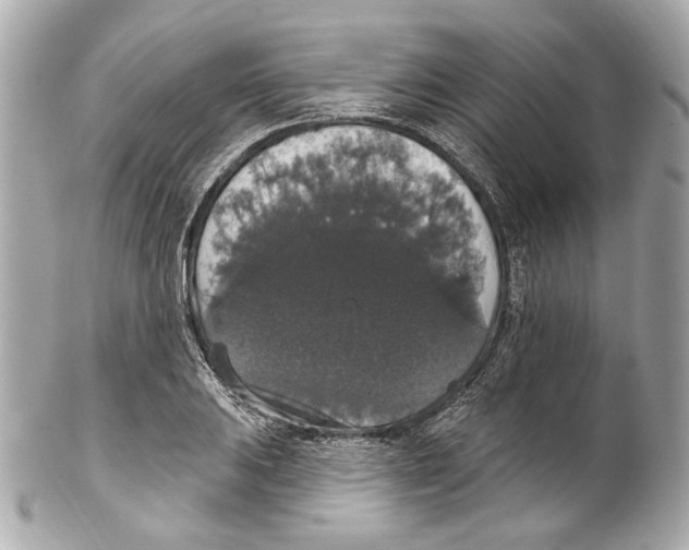 X0000102041031200808151402