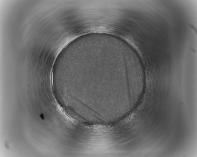 X0000102041032200808151402