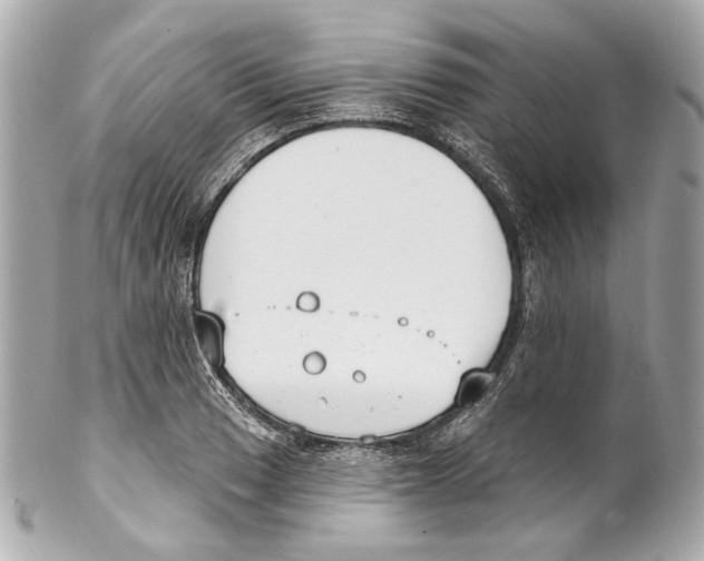 X0000102041033200808151402
