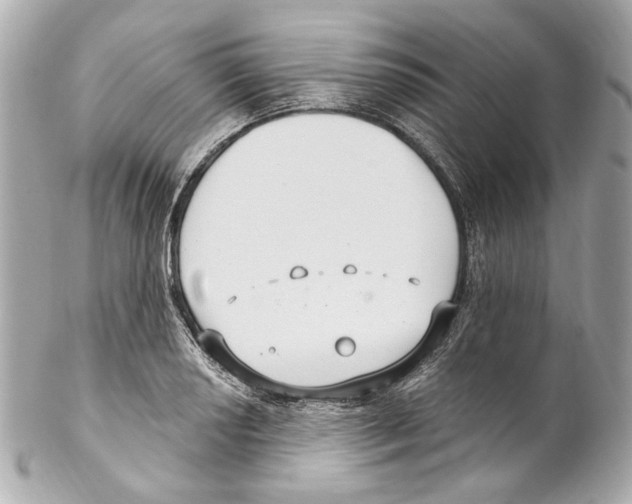 X0000102041034200808151402
