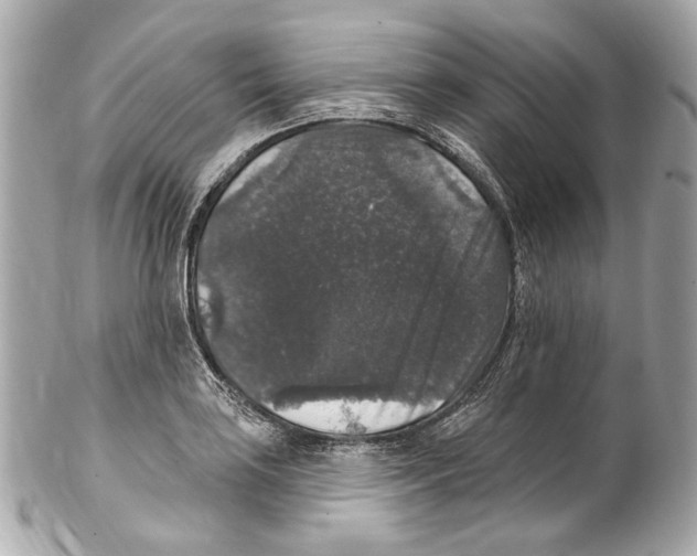 X0000102041035200808151402