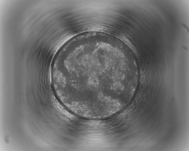 X0000102041036200808151402