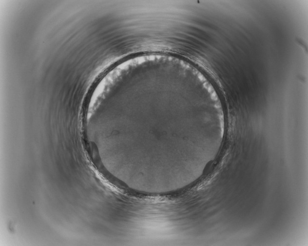 X0000102041037200808151402