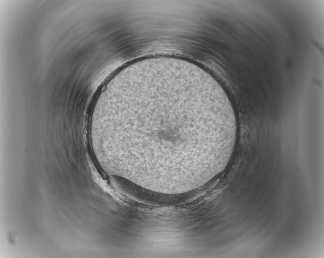 X0000102041038200808151402