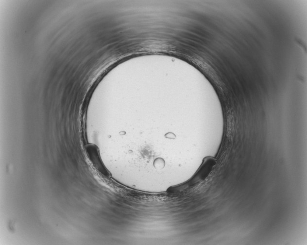 X0000102041039200808151402