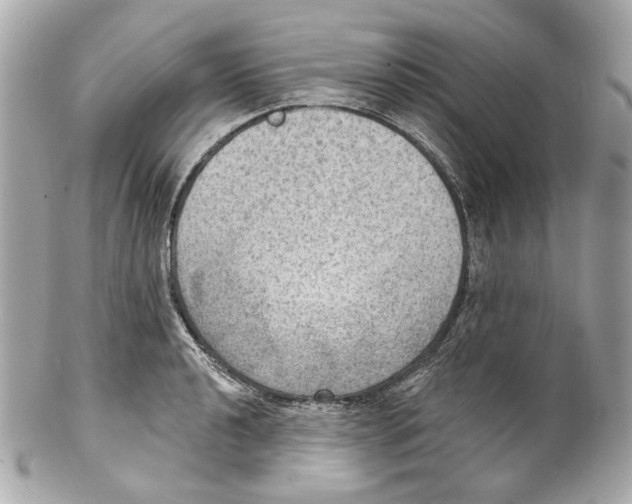 X0000102041040200808151402