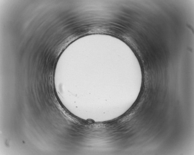 X0000102041041200808151402