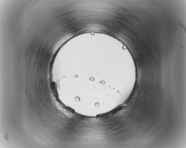 X0000102041042200808151402