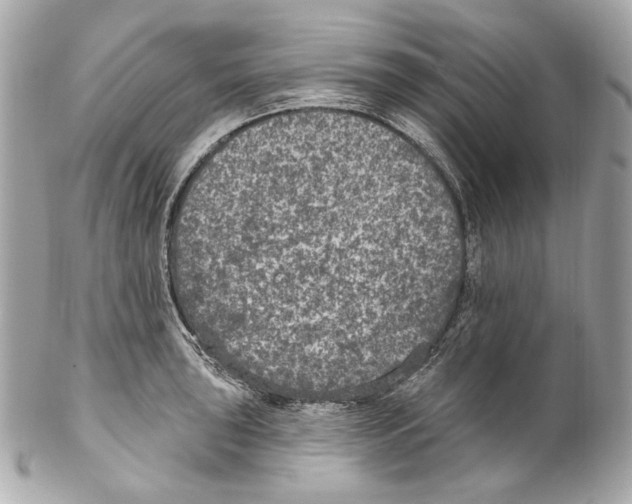 X0000102041043200808151402