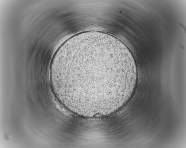 X0000102041044200808151402