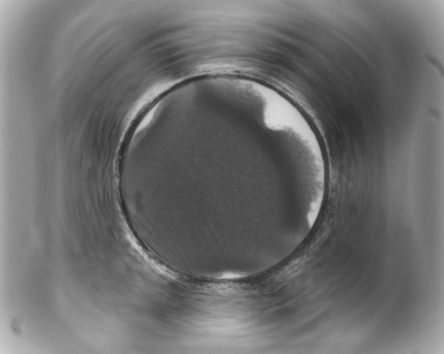 X0000102041045200808151402