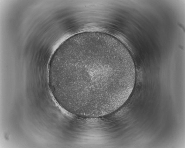 X0000102041046200808151402