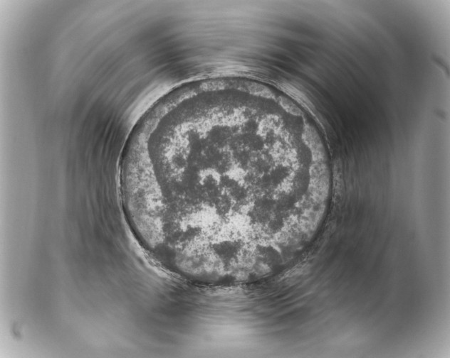 X0000102041047200808151402