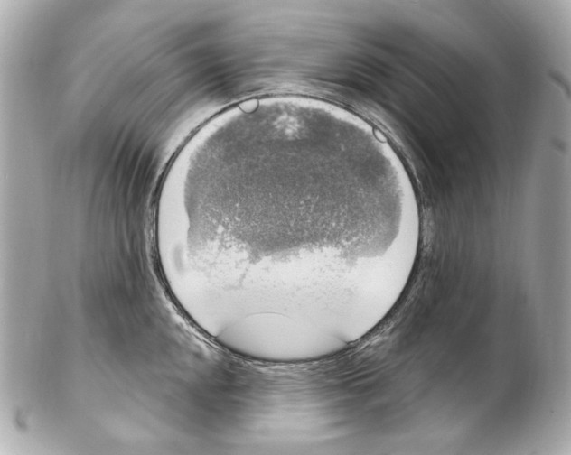 X0000102041048200808151402