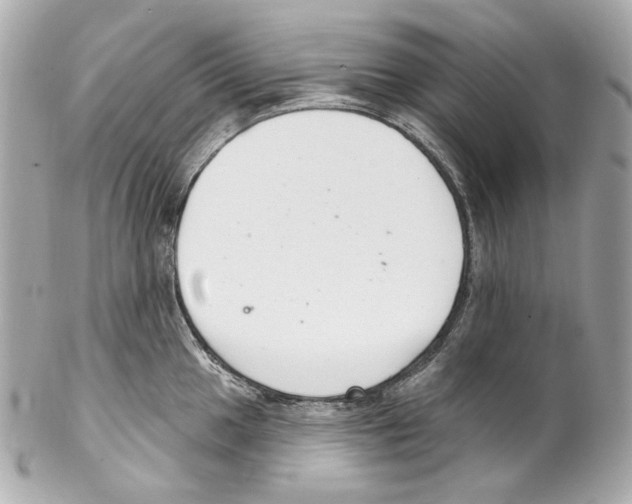 X0000102041049200808151402