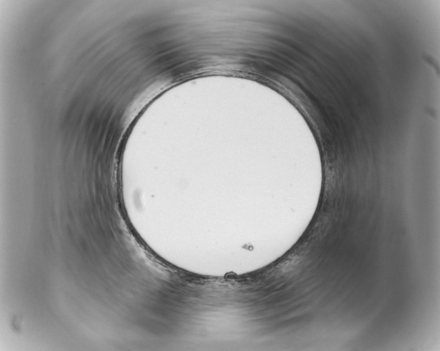 X0000102041050200808151402