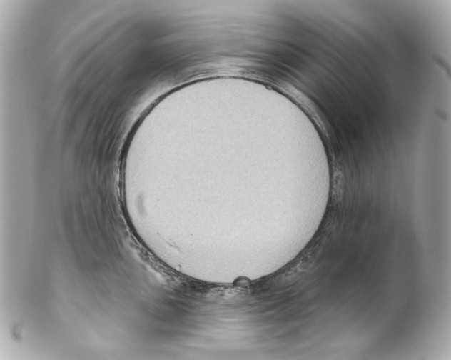 X0000102041051200808151402
