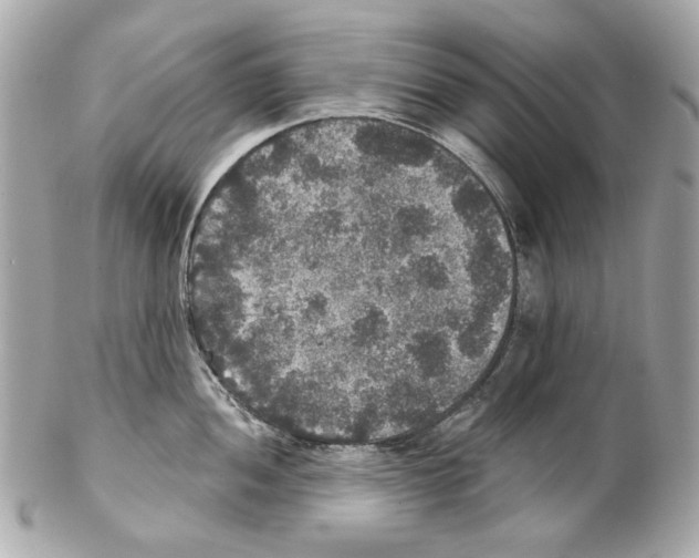 X0000102041052200808151402