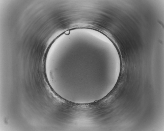 X0000102041053200808151402