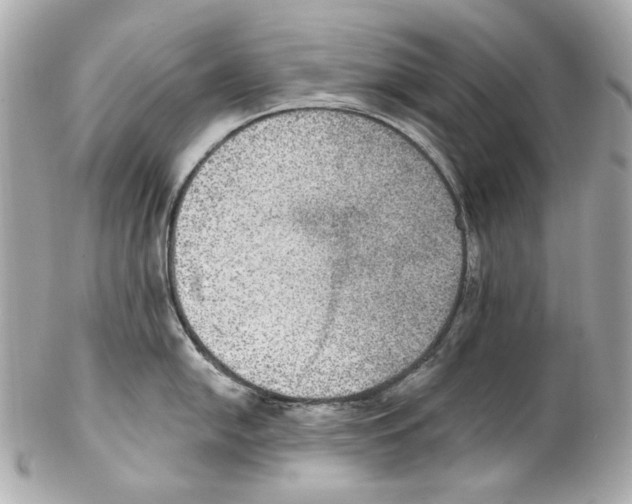 X0000102041054200808151402