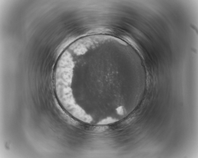 X0000102041055200808151402
