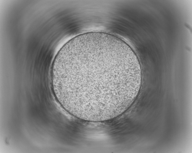X0000102041056200808151402