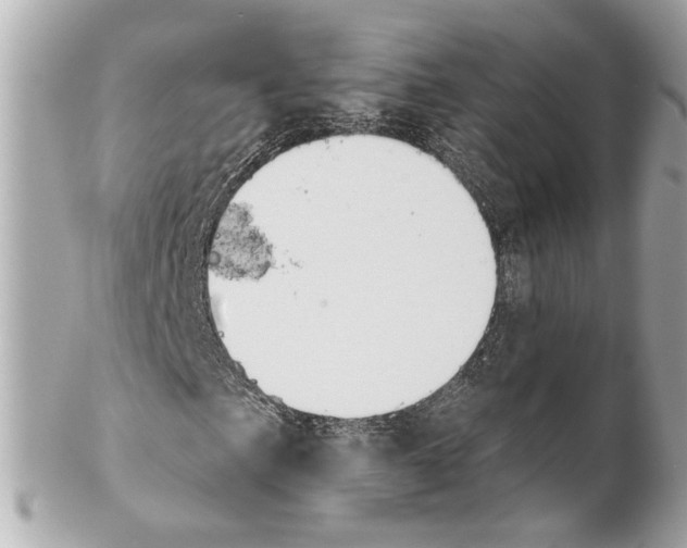 X0000102041057200808151402