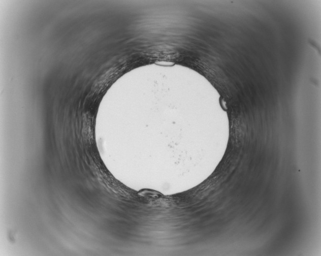 X0000102041058200808151401