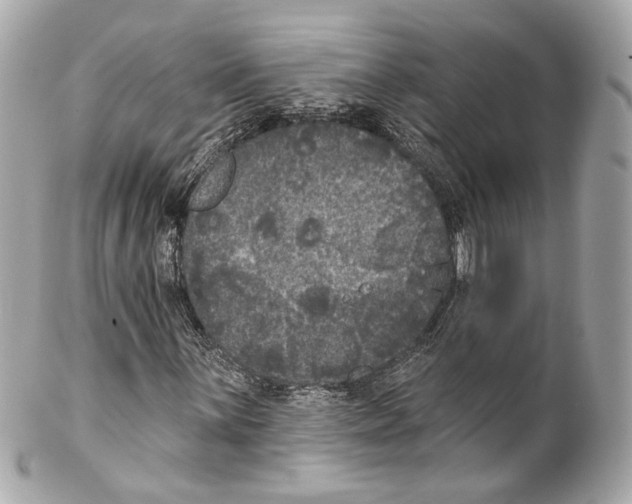 X0000102041059200808151401