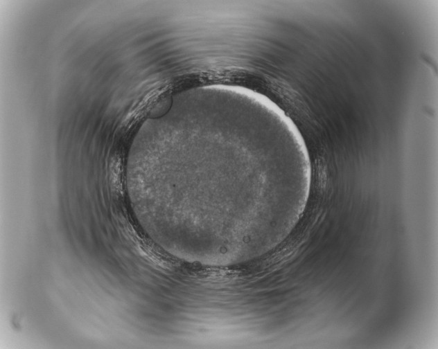 X0000102041060200808151401