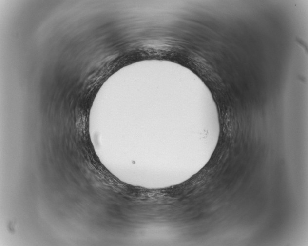 X0000102041061200808151401