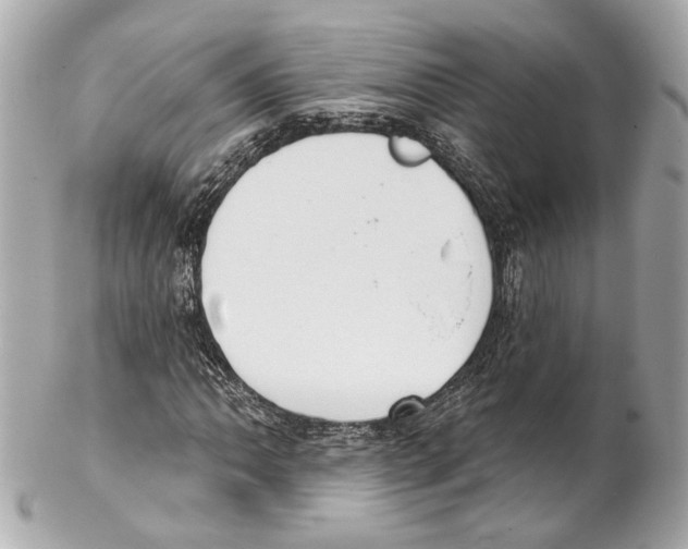 X0000102041062200808151401