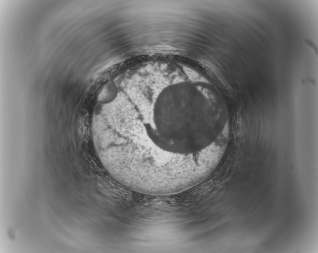 X0000102041063200808151401