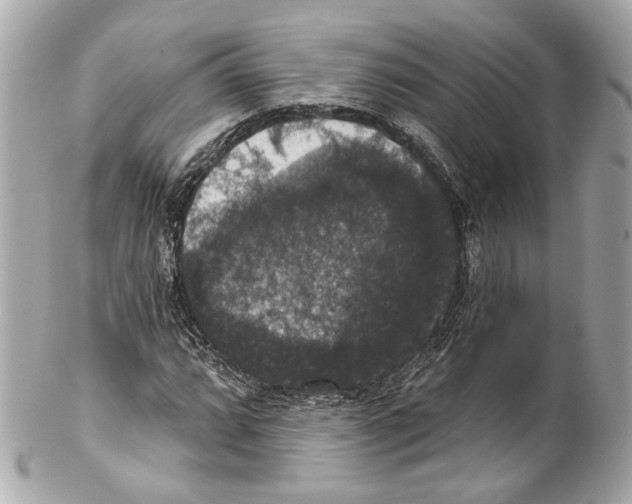 X0000102041064200808151401