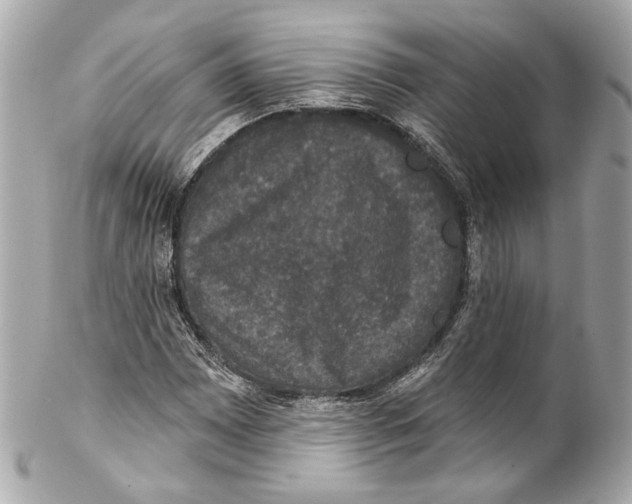 X0000102041065200808151401