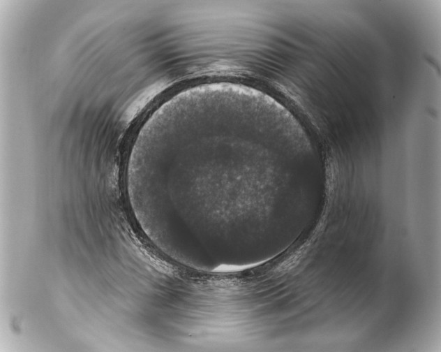 X0000102041066200808151401