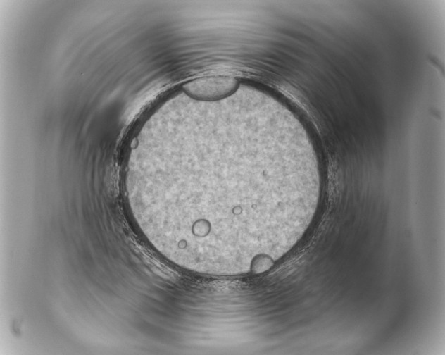 X0000102041067200808151401