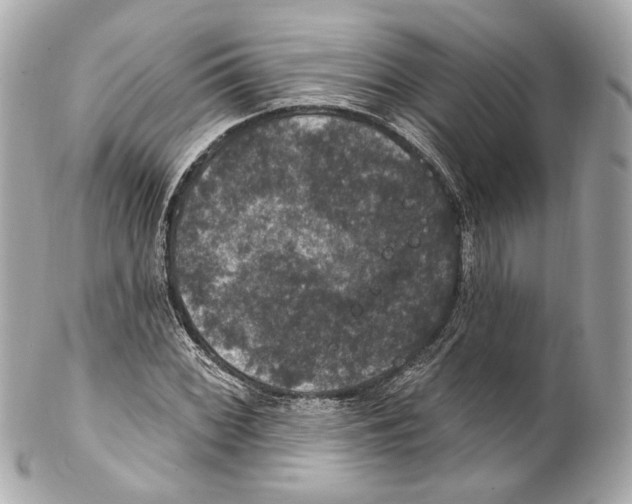 X0000102041068200808151401