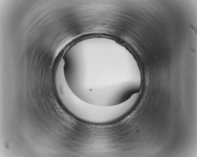 X0000102041069200808151401