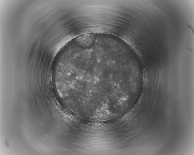 X0000102041070200808151401