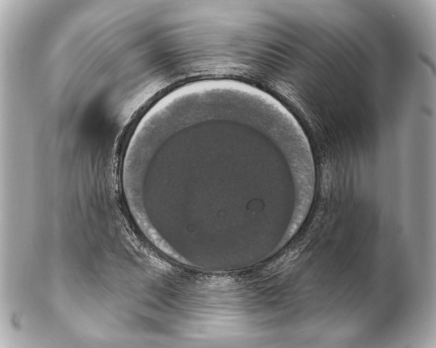 X0000102041071200808151401