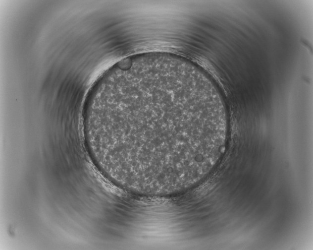 X0000102041072200808151401