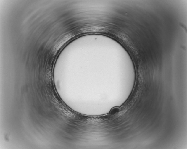 X0000102041073200808151401