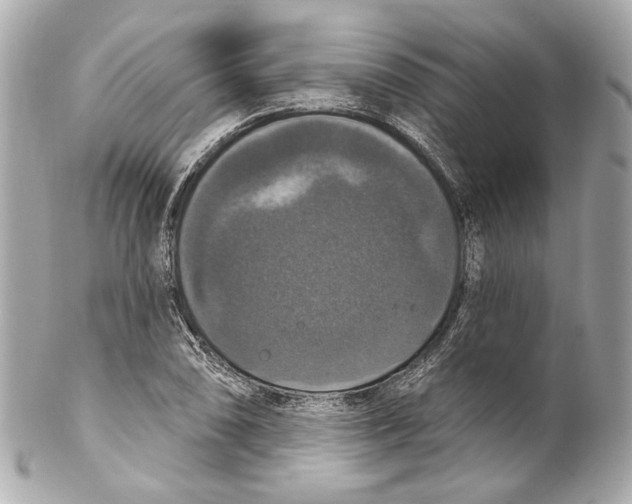 X0000102041074200808151401