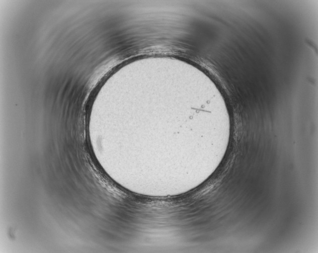 X0000102041075200808151401