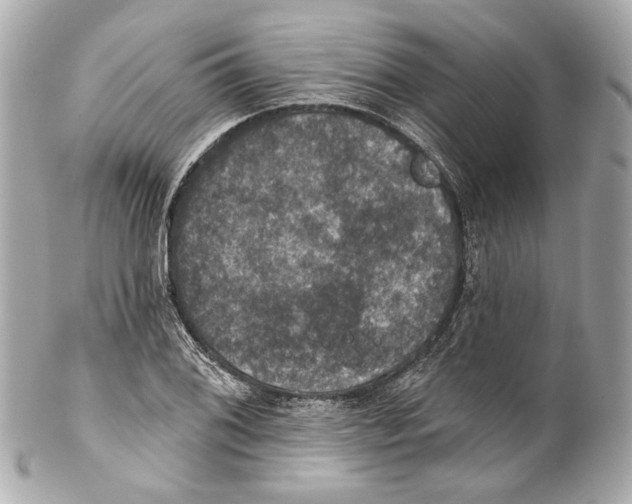 X0000102041076200808151401