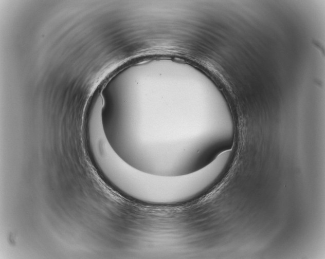 X0000102041077200808151401