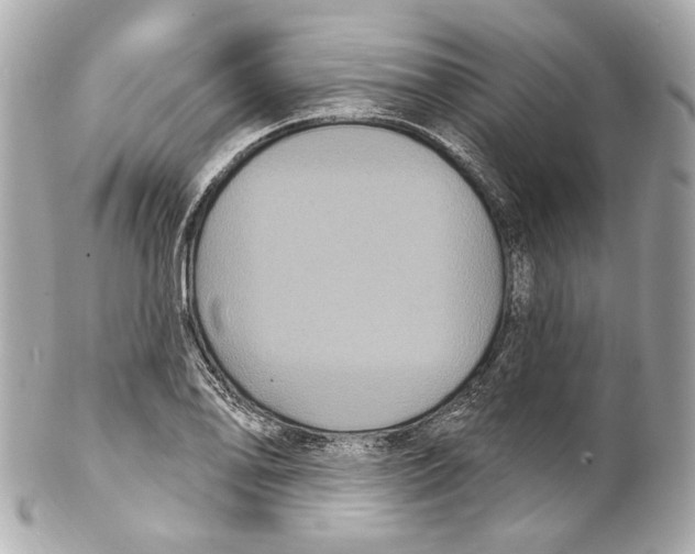 X0000102041078200808151401