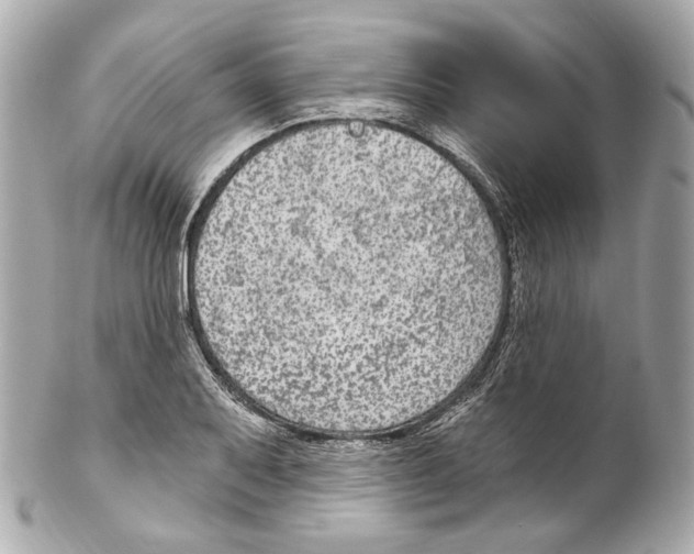 X0000102041079200808151401