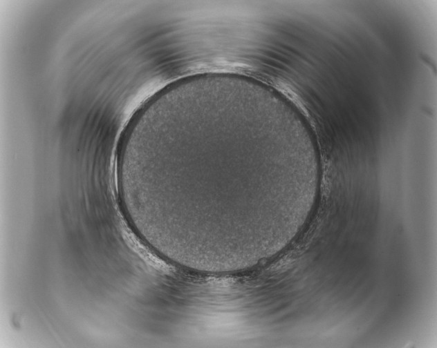 X0000102041080200808151401